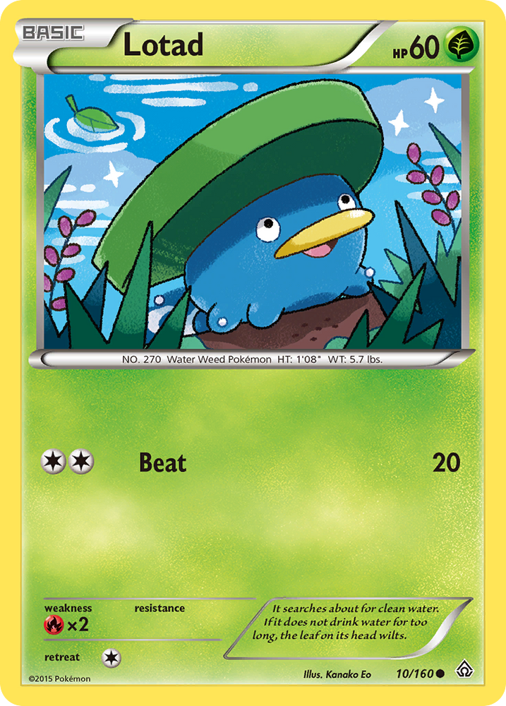 Lotad (10/160) [XY: Primal Clash] Pokémon
