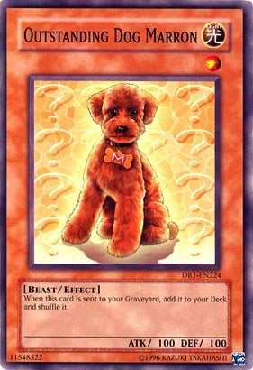 Outstanding Dog Marron [DR1-EN224] Common Yu-Gi-Oh!