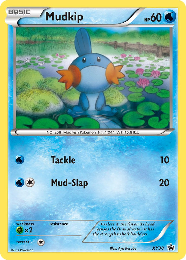 Mudkip (XY38) [XY: Black Star Promos] Pokémon