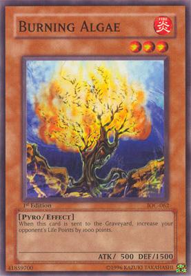 Burning Algae [IOC-062] Common Yu-Gi-Oh!