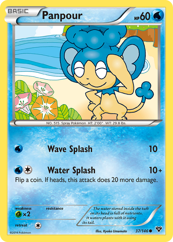 Panpour (37/146) [XY: Base Set] Pokémon