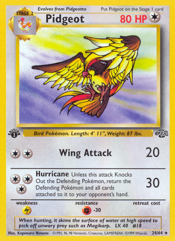 Pidgeot (24/64) [Jungle 1st Edition] Pokémon