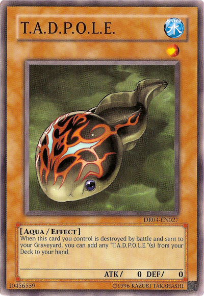 T.A.D.P.O.L.E. [DR04-EN027] Common Yu-Gi-Oh!