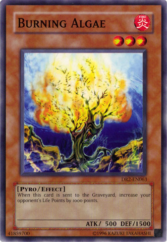 Burning Algae [DR2-EN063] Common Yu-Gi-Oh!