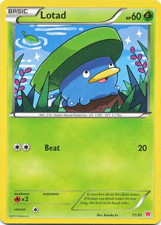 Lotad (11/30) [XY: Trainer Kit 2 - Latias] Pokémon