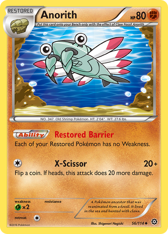Anorith (56/114) [XY: Steam Siege] Pokémon