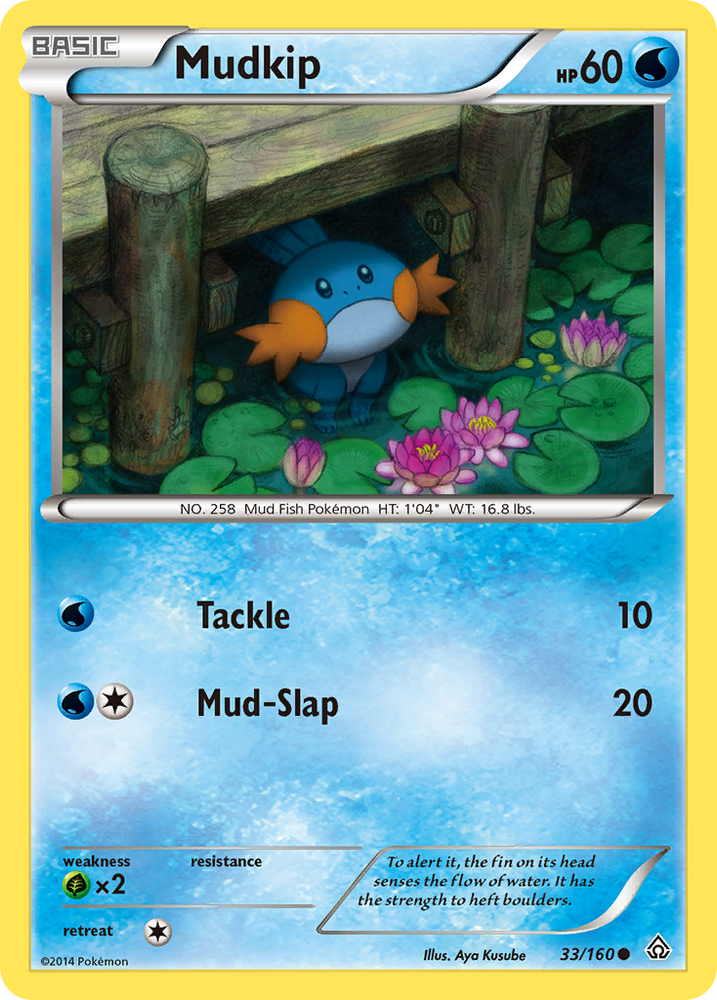 Mudkip (33/160) [XY: Primal Clash] Pokémon