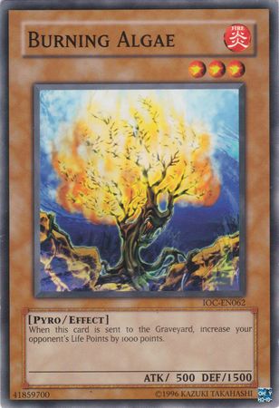 Burning Algae [IOC-EN062] Common Yu-Gi-Oh!
