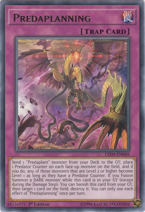 Predaplanning [LED5-EN049] Rare Yu-Gi-Oh!