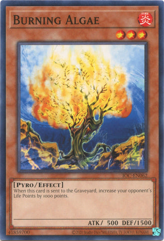 Burning Algae (25th Anniversary) [IOC-EN062] Common Yu-Gi-Oh!