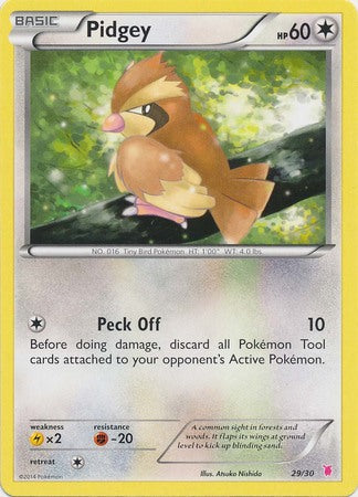 Pidgey (29/30) [XY: Trainer Kit 1 - Wigglytuff] Pokémon