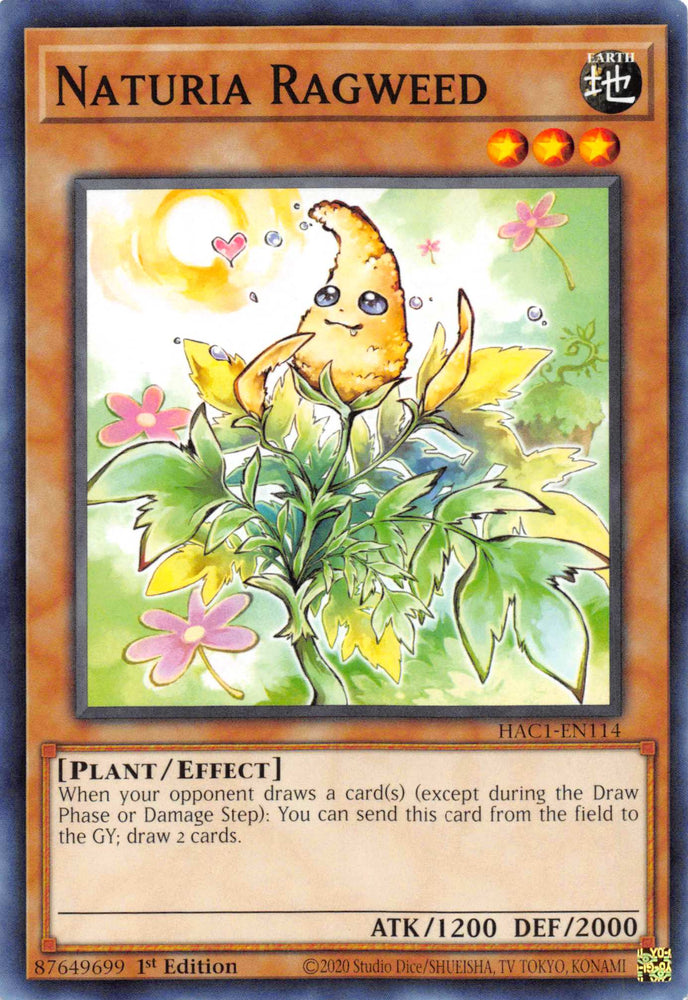 Naturia Ragweed (Duel Terminal) [HAC1-EN114] Parallel Rare Yu-Gi-Oh!