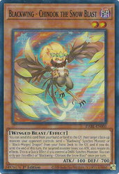 A Super Rare "Blackwing - Chinook the Snow Blast" card from the Yugioh Set: Darkwing Blast (DABL).