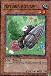 A Duel Terminal Common "Naturia Antjaw" card from the Yugioh Set: Duel Terminal 2 (DT02).