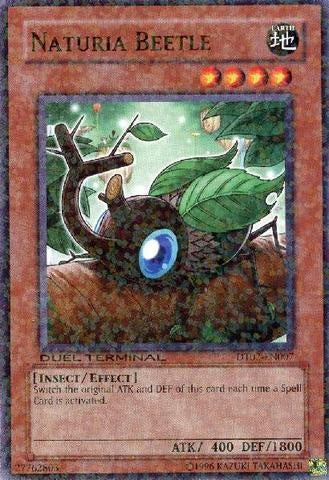 A Duel Terminal Common "Naturia Beetle" card from the Yugioh Set: Duel Terminal 2 (DT02).