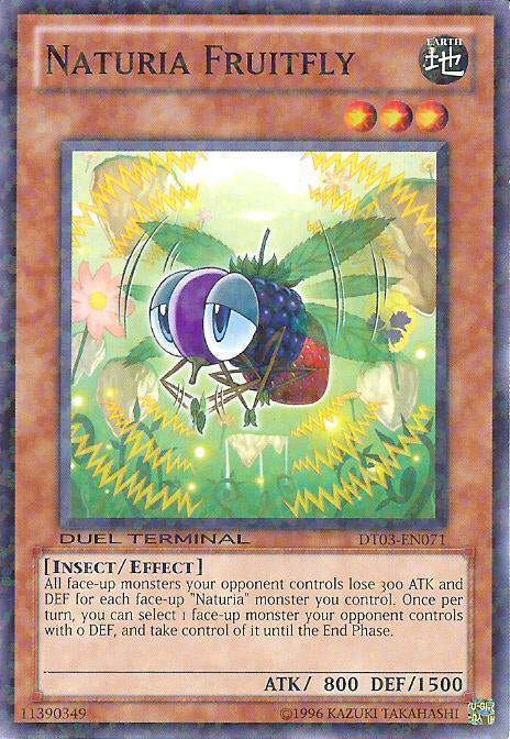 A Duel Terminal Common "Naturia Fruitfly" card from the Yugioh Set: Duel Terminal 3 (DT03).