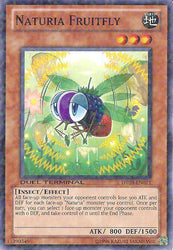 A Duel Terminal Common "Naturia Fruitfly" card from the Yugioh Set: Duel Terminal 3 (DT03).