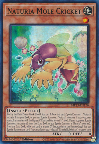 A Super Rare "Naturia Mole Cricket" card from the Yugioh 25th Anniversary Tin: Dueling Heroes set.