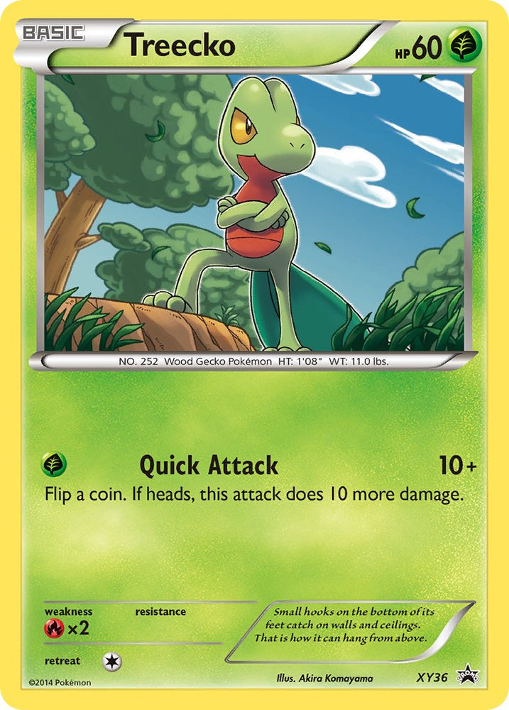 Treecko (XY36) [XY: Black Star Promos] Pokémon