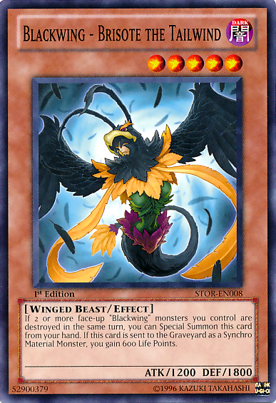 Blackwing - Brisote the Tailwind [STOR-EN008] Common Yu-Gi-Oh!