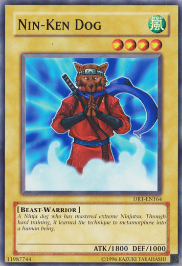 Nin-Ken Dog [DR1-EN164] Common Yu-Gi-Oh!