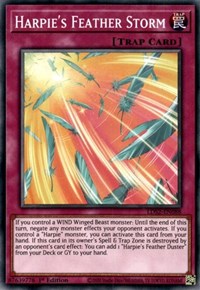 Harpie's Feather Storm [LDS2-EN088] Common Yu-Gi-Oh!