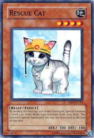 Rescue Cat [DR3-EN153] Common Yu-Gi-Oh!