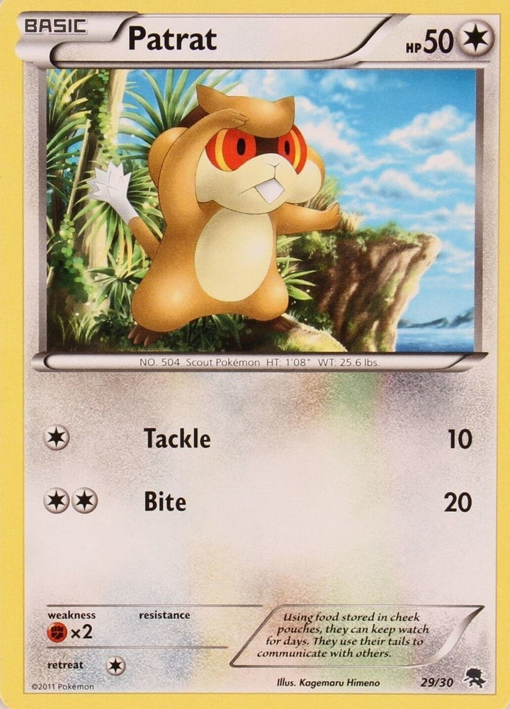 Patrat (29/30) [Black & White: Trainer Kit - Zoroark] Pokémon